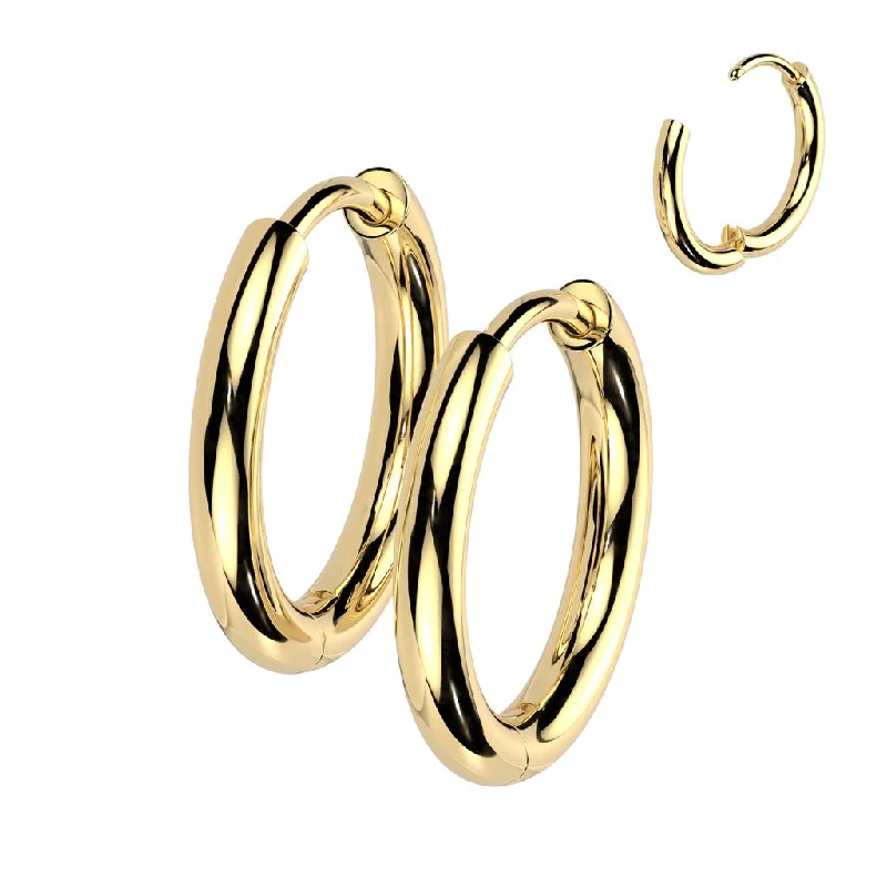 Titanium Gold Hinged Hoop Earrings (1 pair) - TI-197A